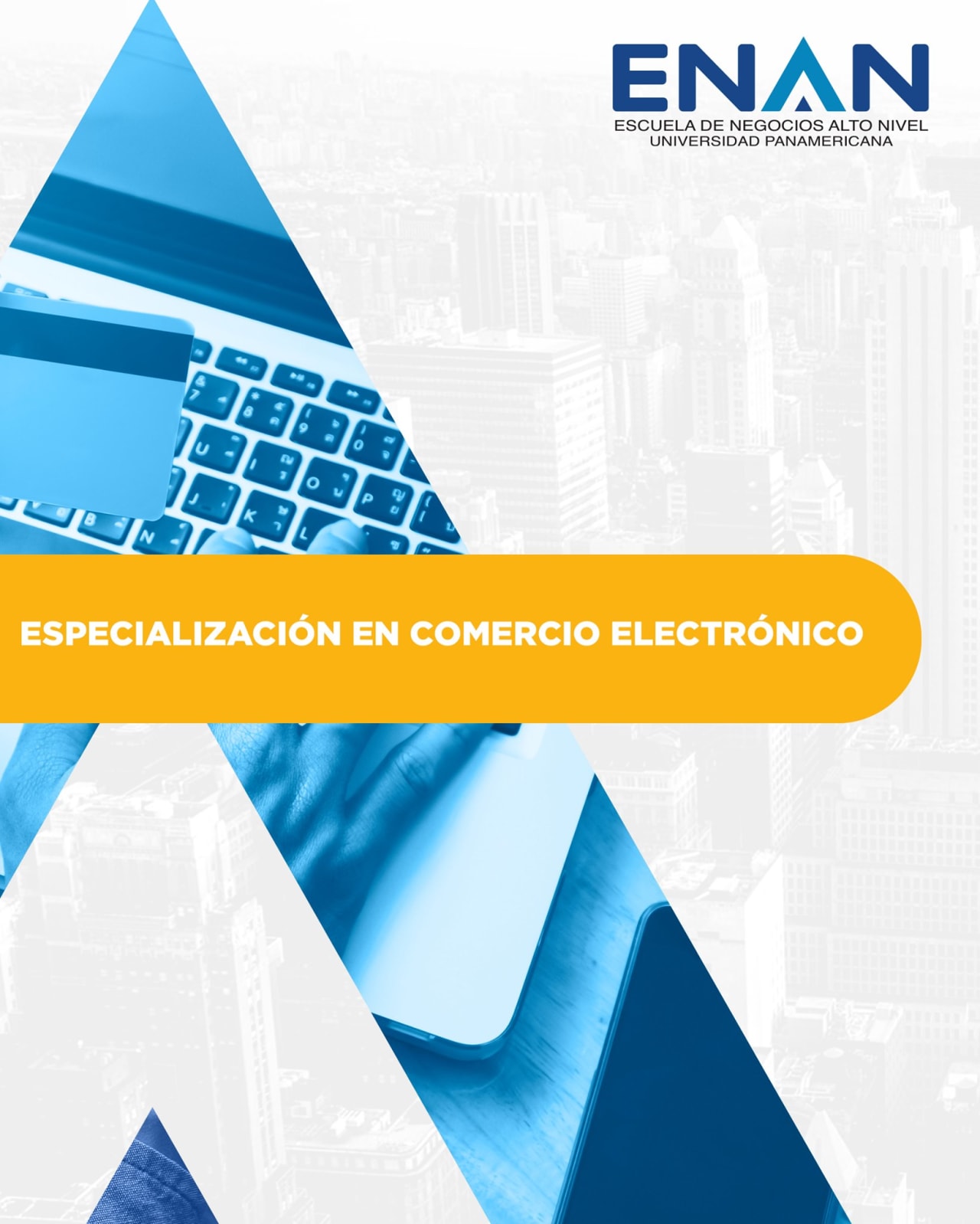 Escuela de Negocios Alto Nivel - Universidad Panamericana de Guatemala Chuyên ngành thương mại điện tử