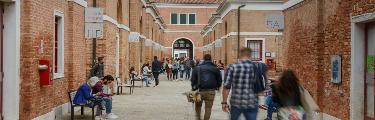 Ca' Foscari University of Venice MA in Data Analytics for Business and Society