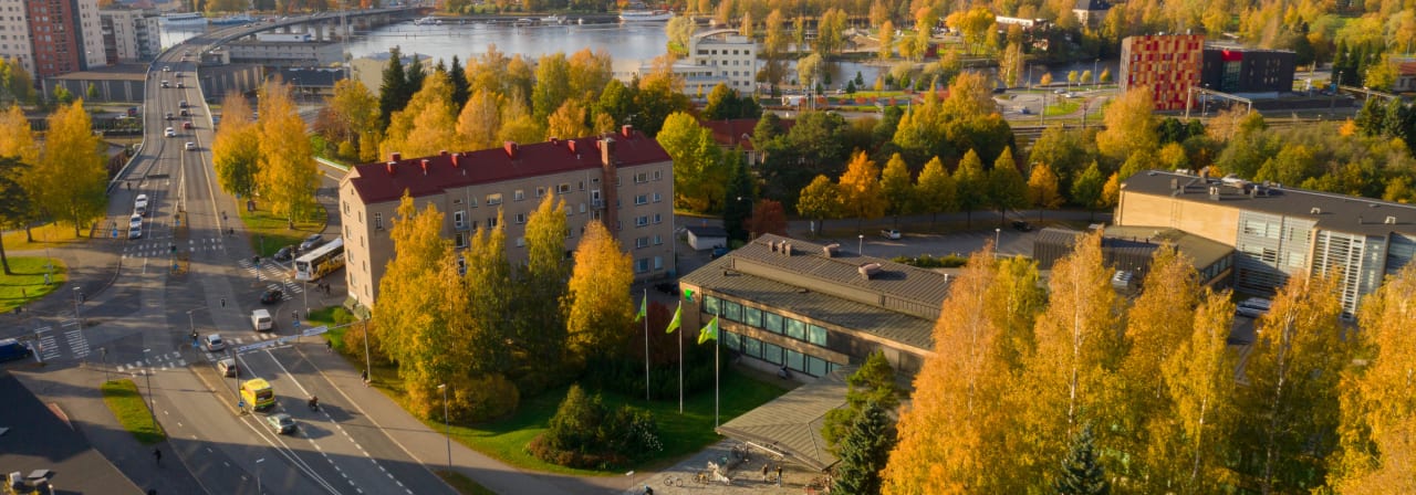 Karelia University Of Applied Sciences Licenciado en Ingeniería en Gestión Industrial