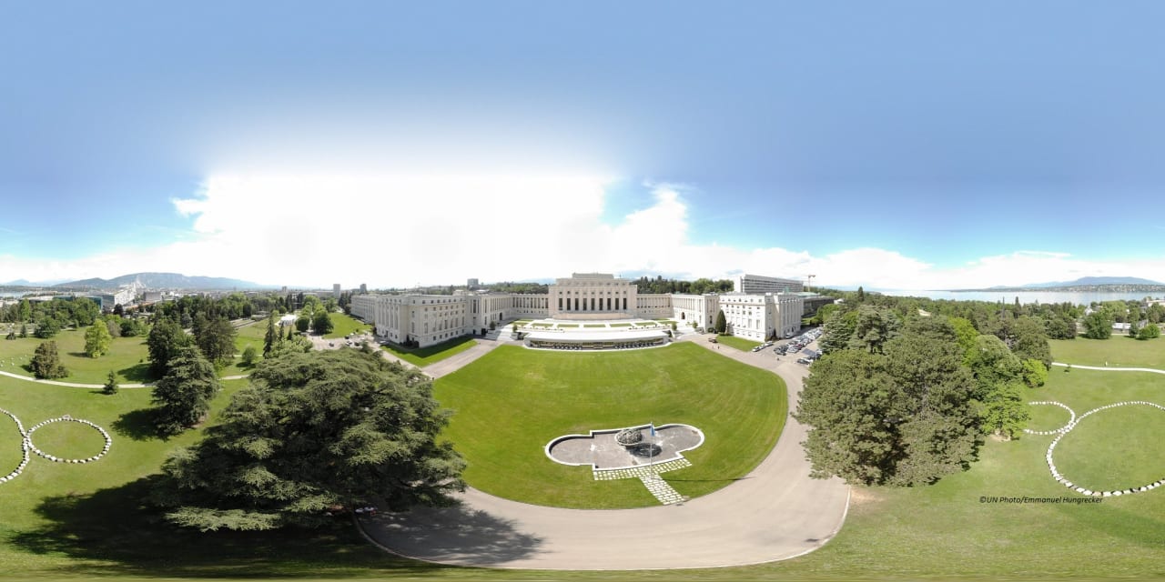 The United Nations Institute for Training and Research (UNITAR) Maestría Ejecutiva en Línea en Ciencias en Asuntos Internacionales y Práctica Diplomática (en asociación con Seton Hall)