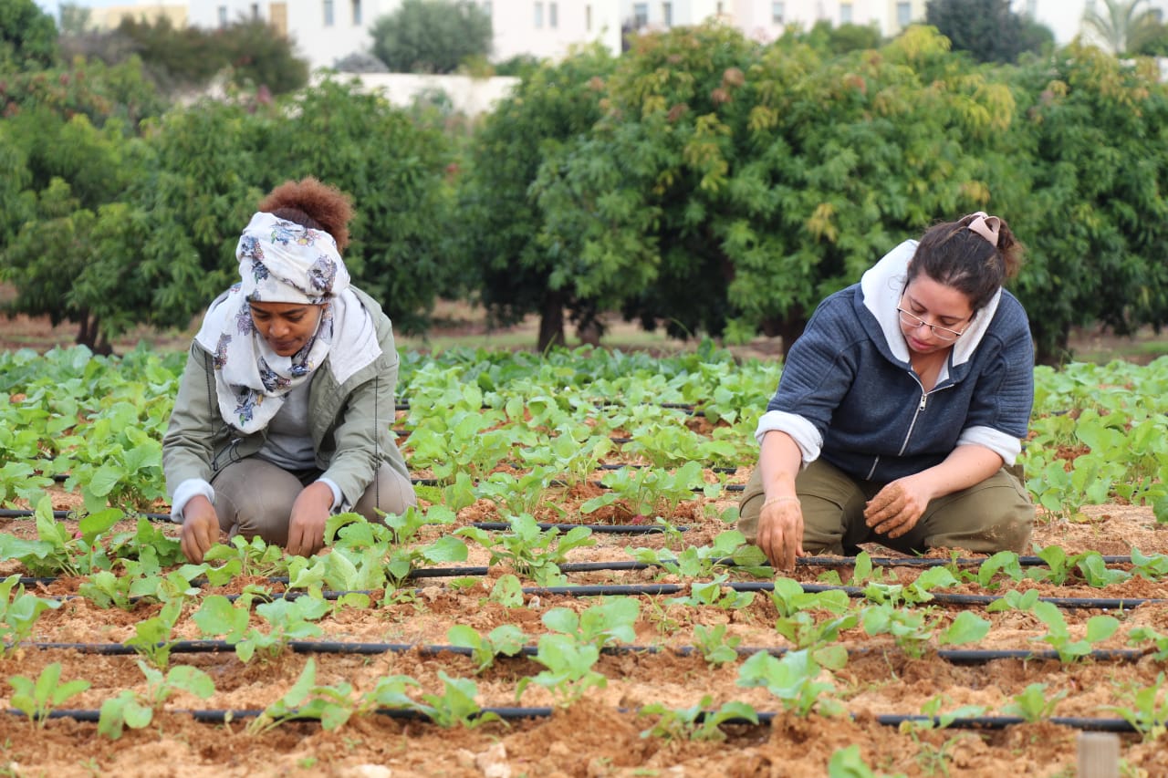 The Hebrew University of Jerusalem MA in Agriculture, Natural Resources and Environment