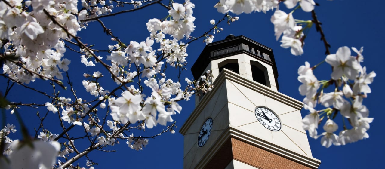 Western Kentucky University Bachelor of Science in Public Health