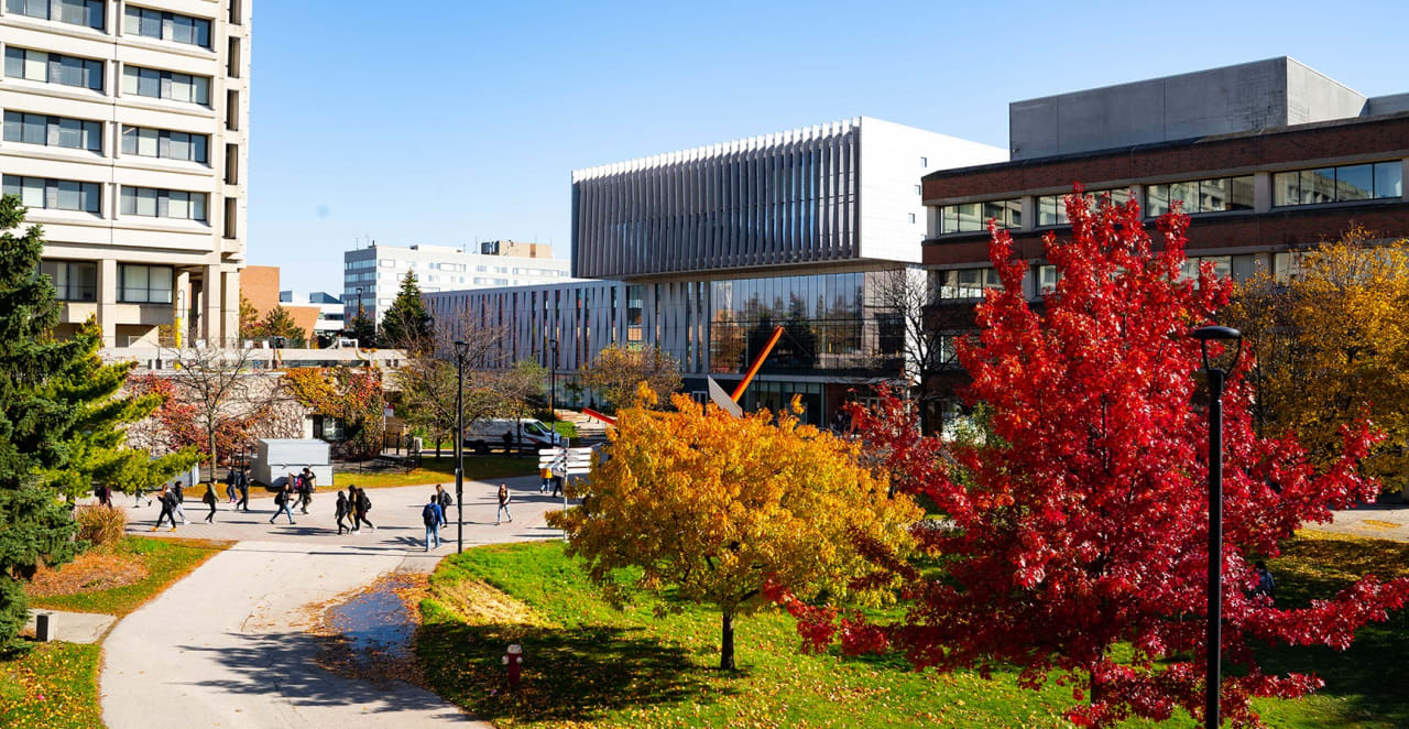 Faculty of Environmental & Urban Change | YORK UNIVERSITY Bachelor in Environmental Science