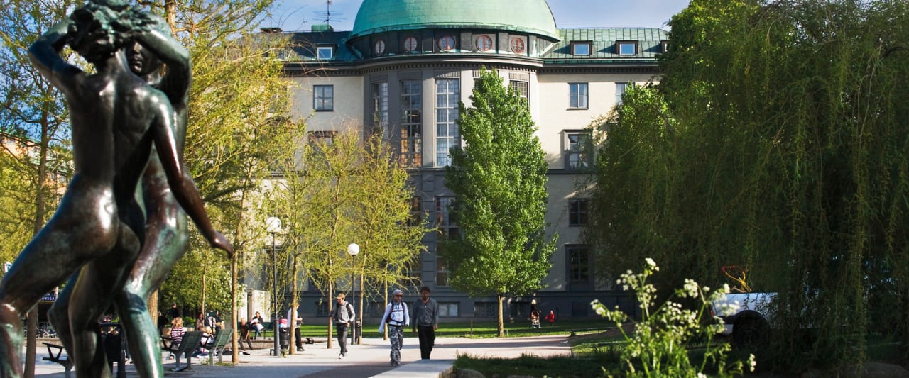 Stockholm School of Economics Russia Executive MBA üldjuhtimine