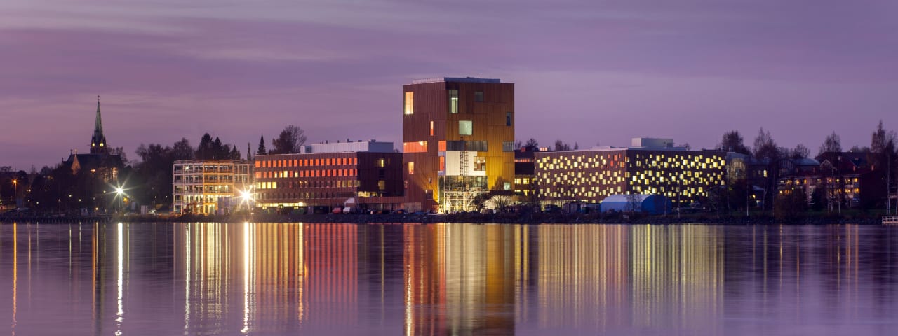 Umeå Institute of Design - Umeå University MFA transpordidisaini alal