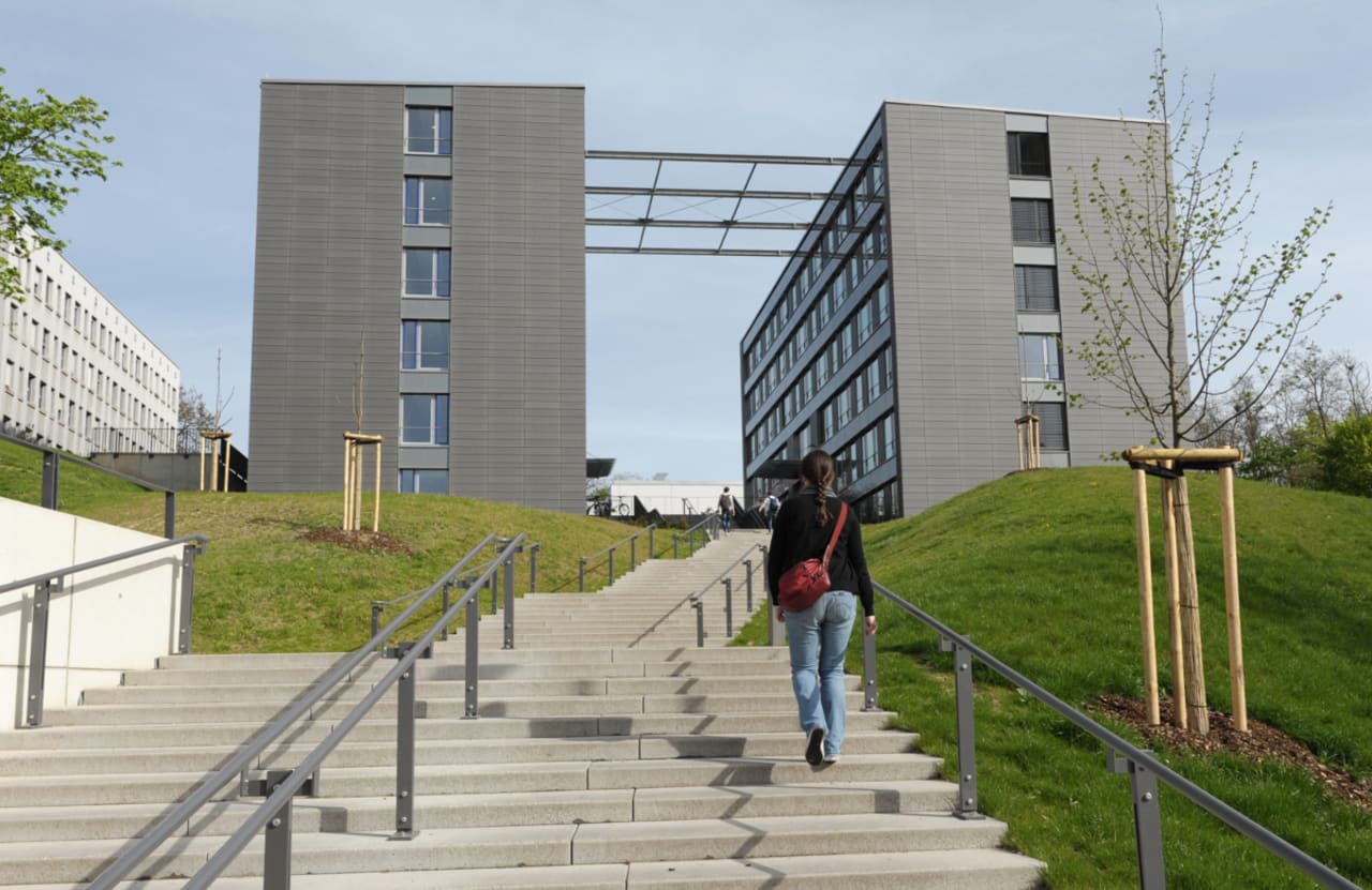 Technical University of Kaiserslautern Landau Aplinkos taršos valdymo magistras (ekotoksikologija)
