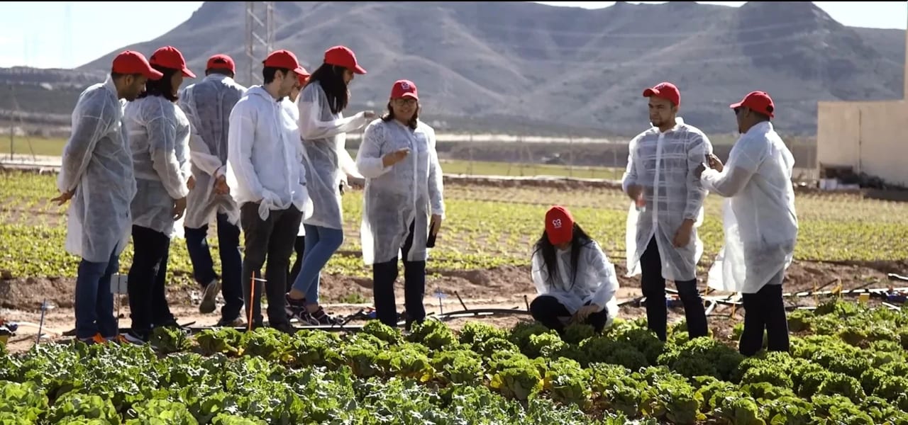 ENAE Business School Maestría en Gestión de Agronegocios