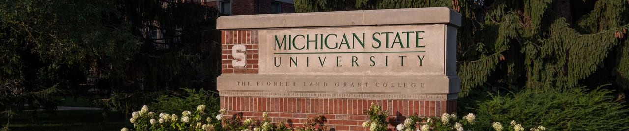 Michigan State University Online Magistrikraad õiguskaitsealase teabe ja analüüsi alal