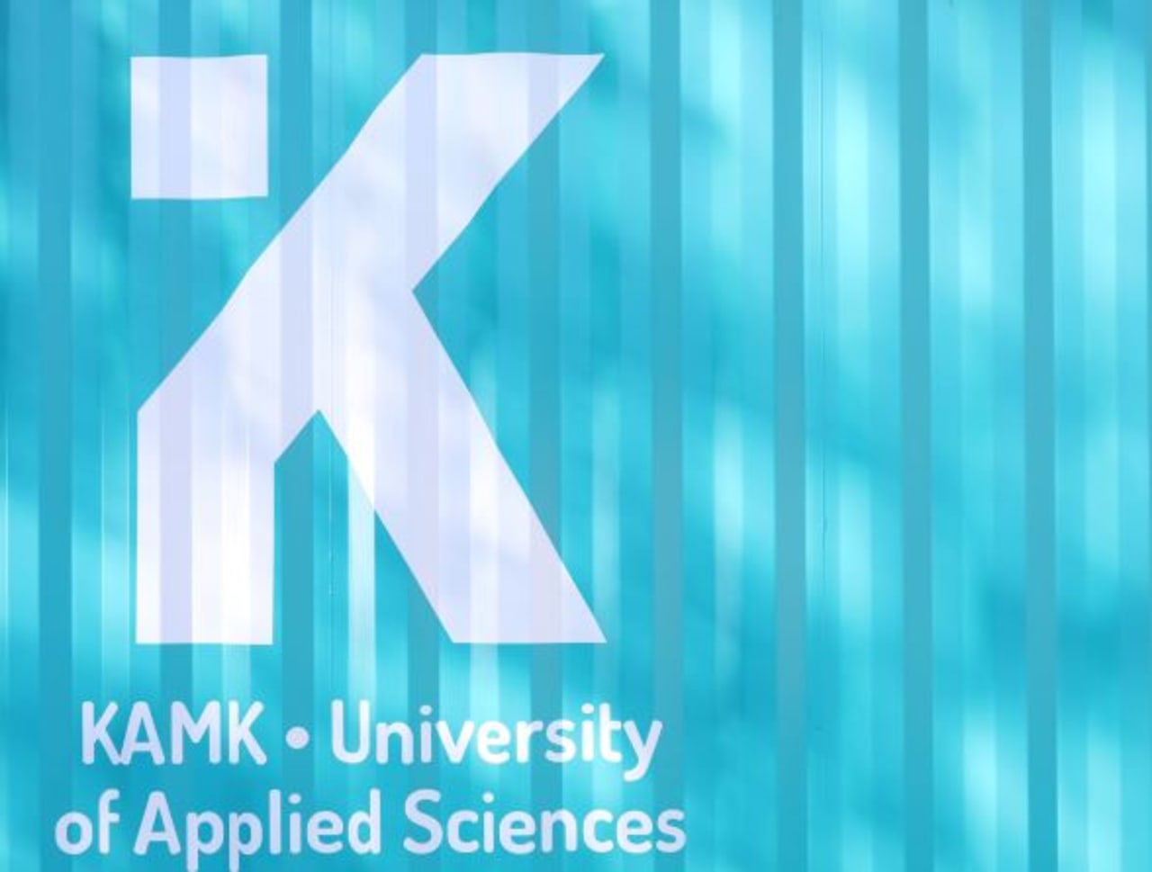 Kajaani University of Applied Sciences ปริญญาโทสาขาการจัดการธุรกิจระดับโลก (เต็มเวลา)