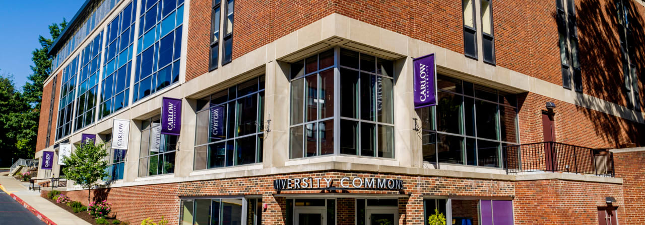 Carlow University Online Executive Master of Business Administration