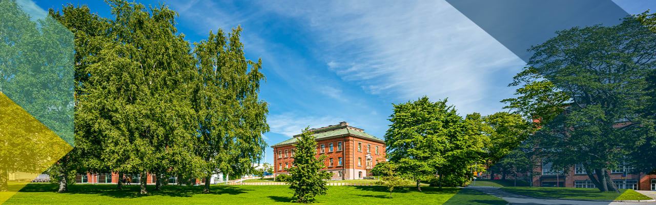 University of Vaasa Executive Education Doktor obchodní administrativy (DBA)