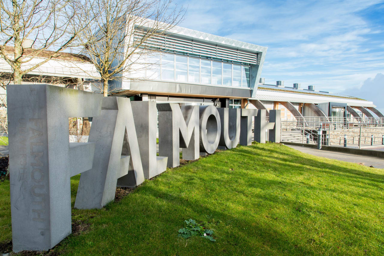 Falmouth University Master Design experiență utilizator (online)