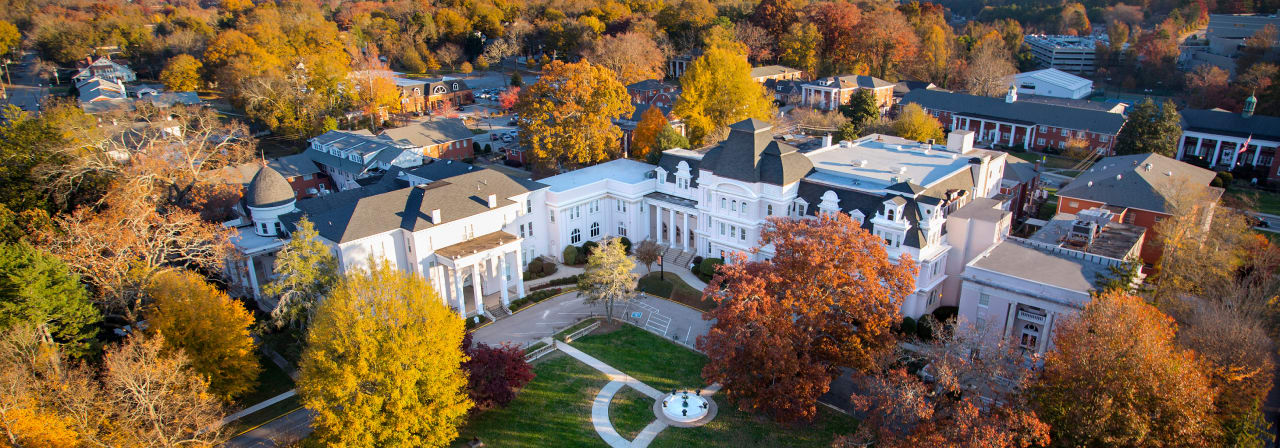 Brenau University Online Master of Science in Organizational Leadership