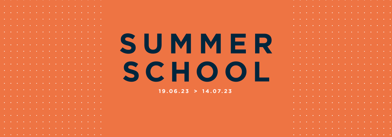 Sciences Po Lille Summer Course: International - EU Affairs and French Language