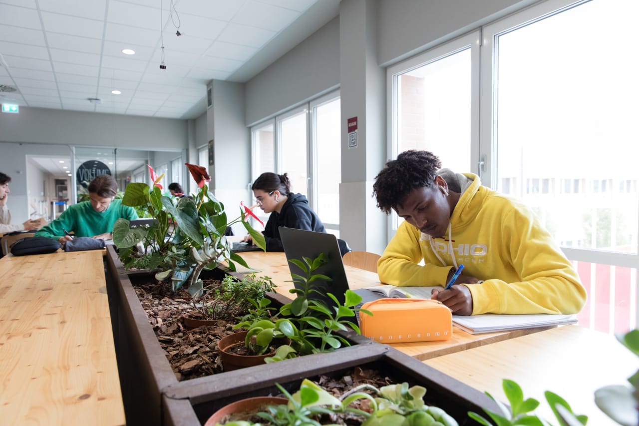 University of Bologna Master in Greening Energy Market and Finance