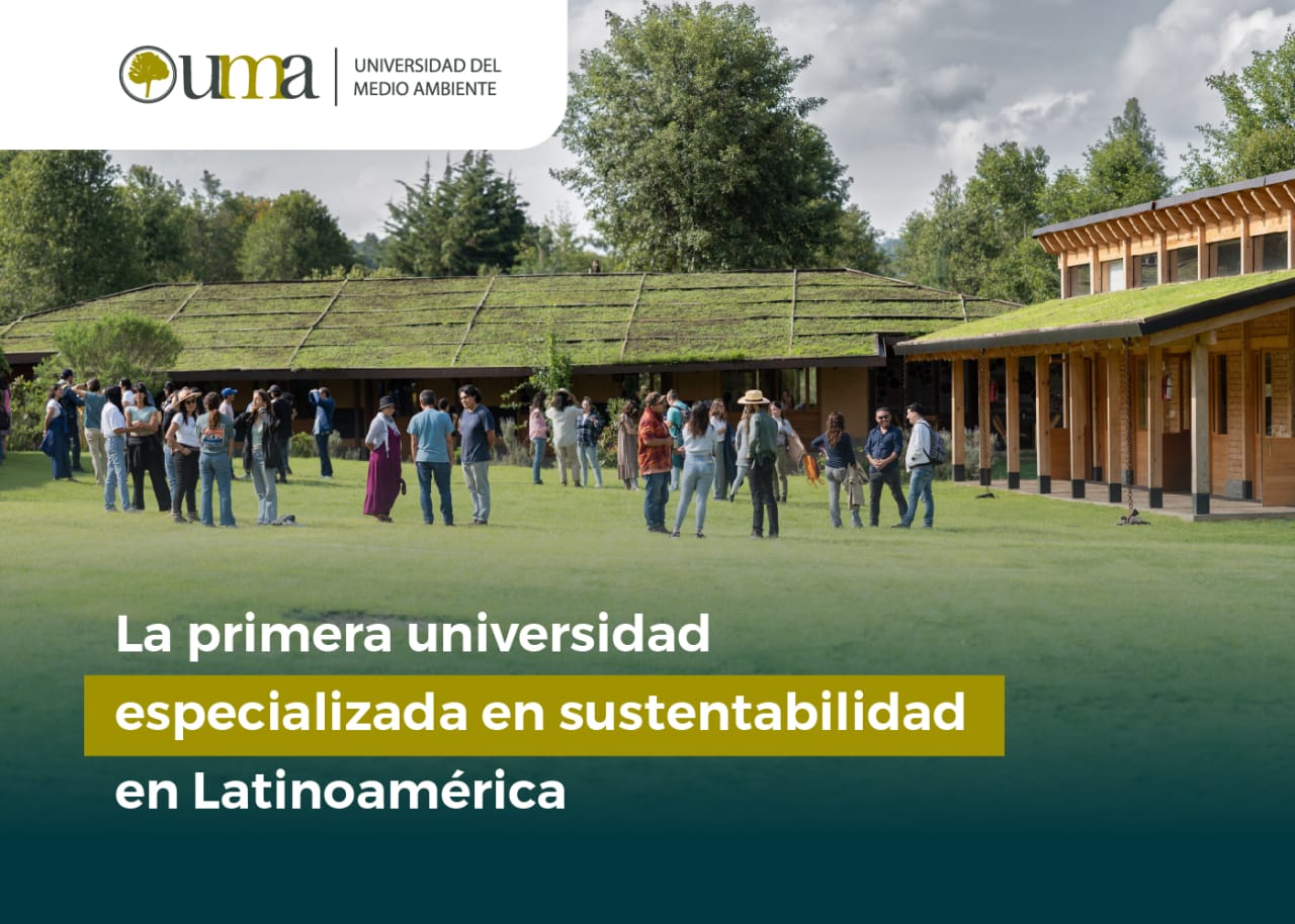 Universidad del Medio Ambiente Magister architektury, projektowania i zrównoważonego budownictwa