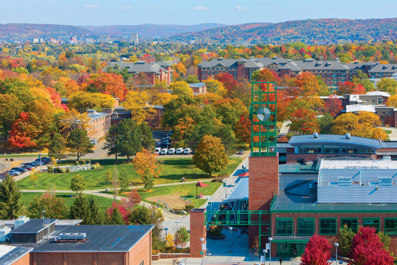 Binghamton University, State University of New York Kirjoitusopinnot (sivuaine)