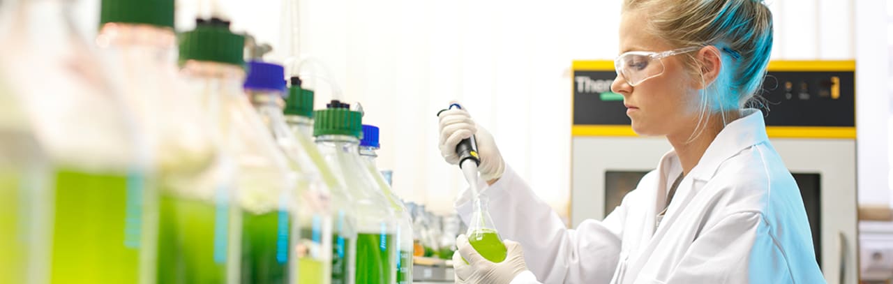 MCI |The Entrepreneurial School® Mestrado em Biotecnologia