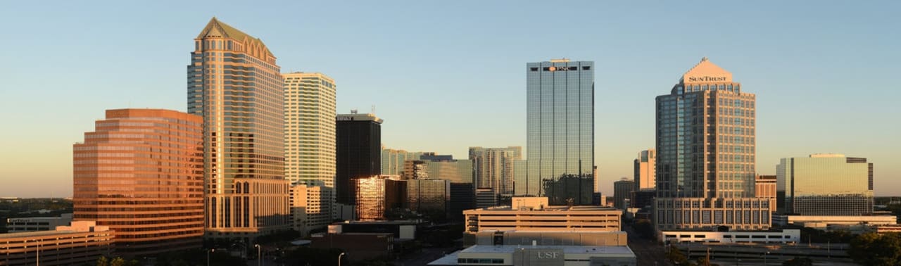 University of Tampa - Sykes College of Business M.S. in Criminology and Criminal Justice