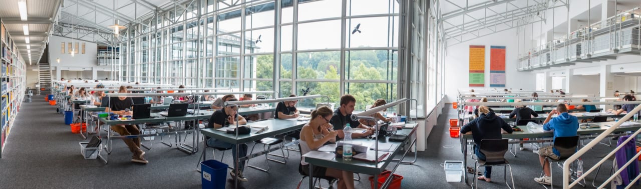 University of Passau M.A. International Cultural and Business Studies