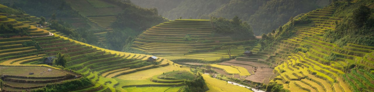 British University Vietnam