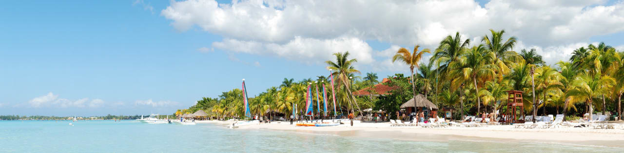 International University of the Caribbean