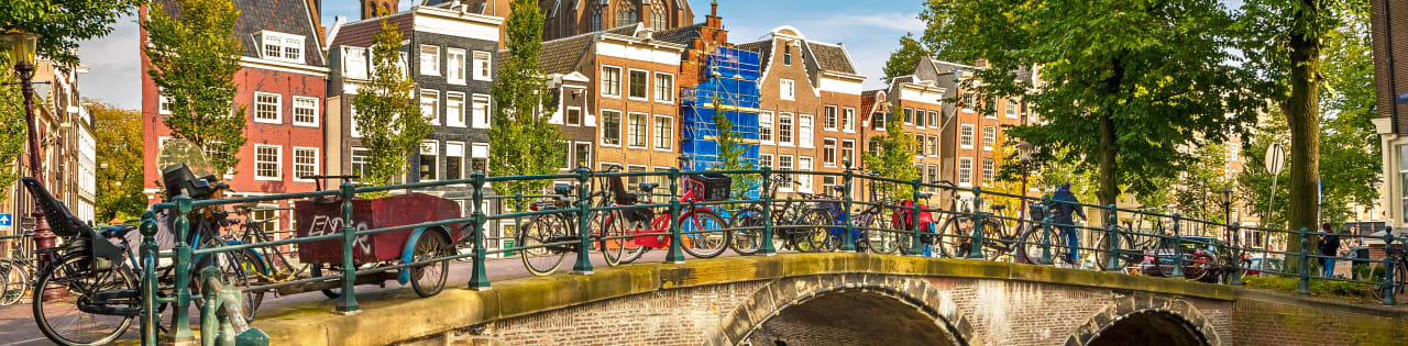 Vrije Universiteit Amsterdam - School of Business and Economics Part-time MBA in International Business