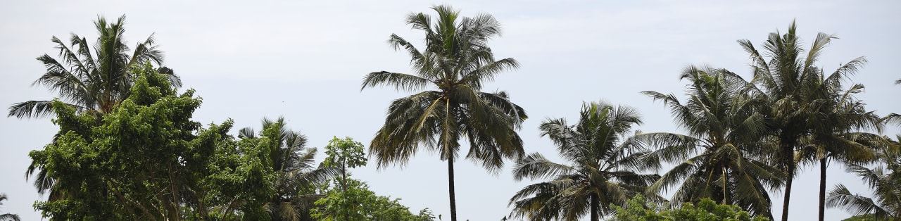 Nigérie