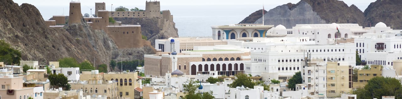 German University of Technology in Oman