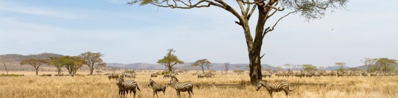 Танзанија