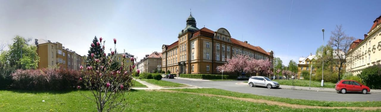 Faculty of Philosophy and Science, Silesian University in Opava PhD in Physics