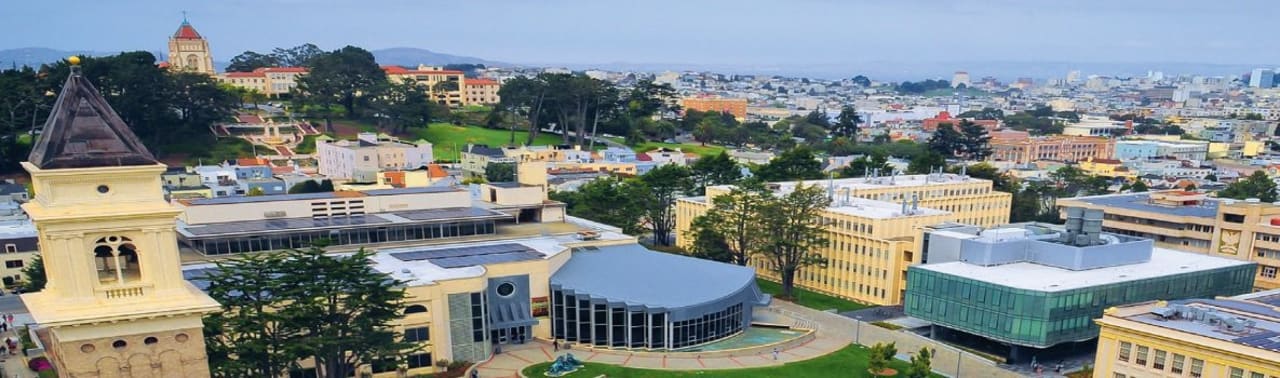 University of San Francisco - College of Arts & Sciences Master in gestione dei sistemi energetici