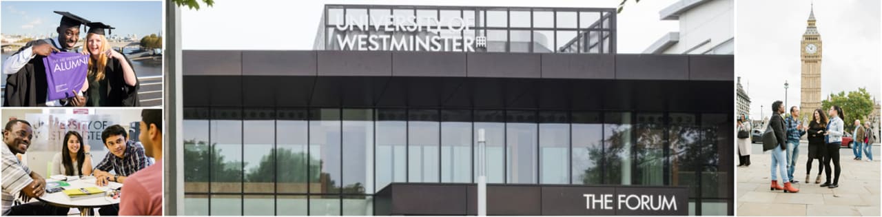 University of Westminster Managementul Turismului MA