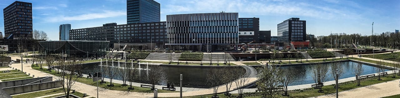 Rotterdam School of Management | Erasmus University Global Executive MBA - 21 månader