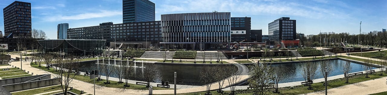 Rotterdam School of Management | Erasmus University MBA Executivo Global - 21 meses