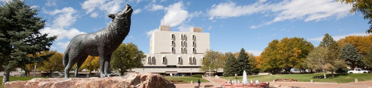 Colorado State University Pueblo Magistri- ja ärikorraldus