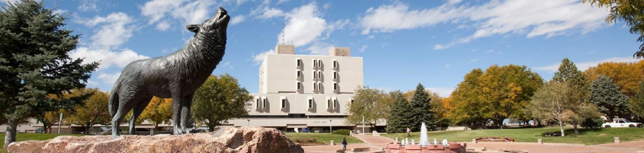 Colorado State University Pueblo Licenciatura en comunicación de masas