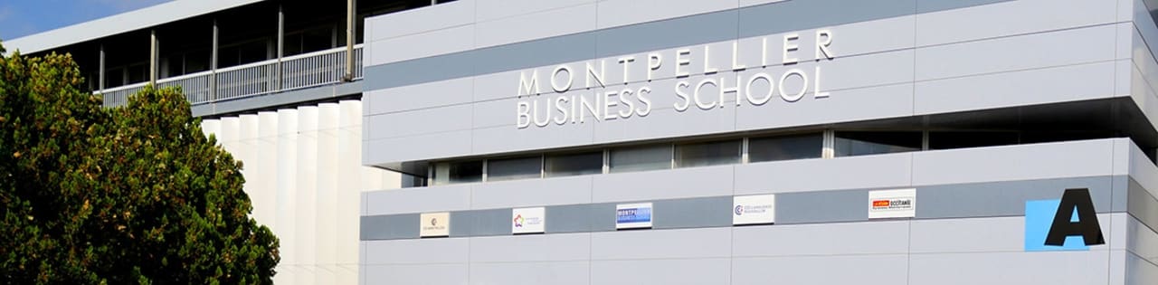 Montpellier Business School MSc Digital Transformation &amp; Business Consulting