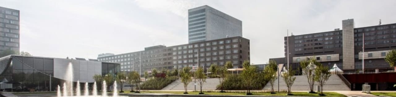 Erasmus University Rotterdam - Erasmus School of Social and Behavioural Sciences Master in Urban Governance