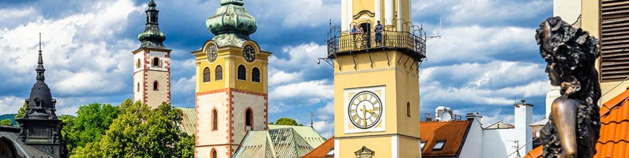 Matej Bel University Visegrad perspektifinde Avrupa: uluslararası ilişkiler ustası