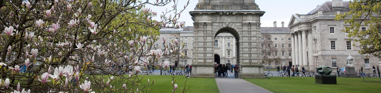Trinity College Dublin - Business School MSc rahvusvahelises juhtimises