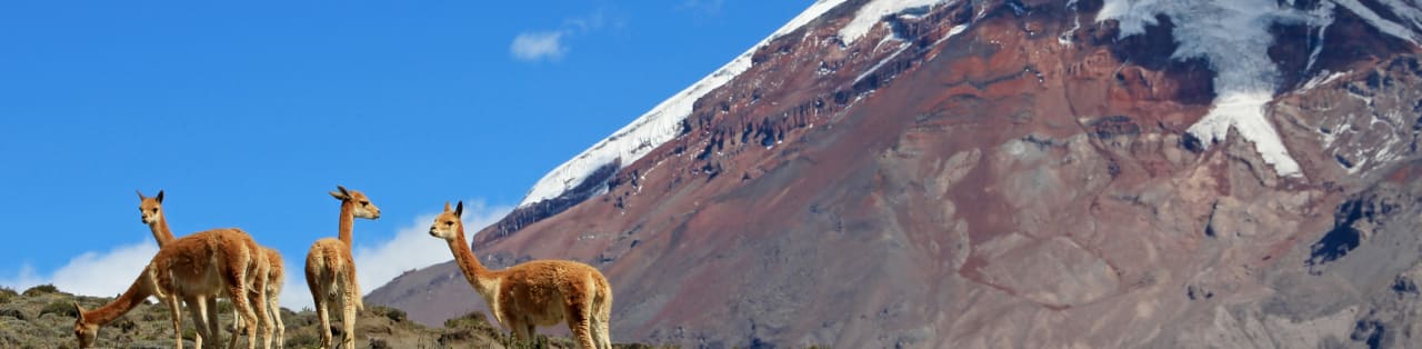 Equador