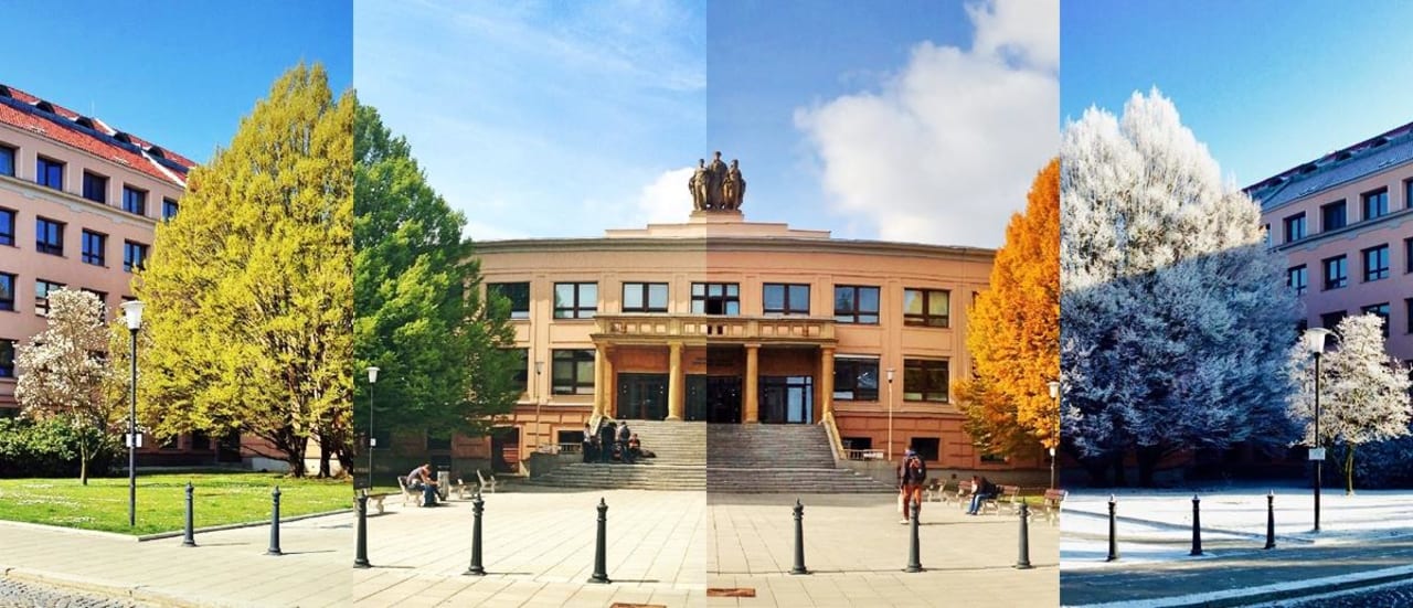 Palacky University Доктор стоматологије