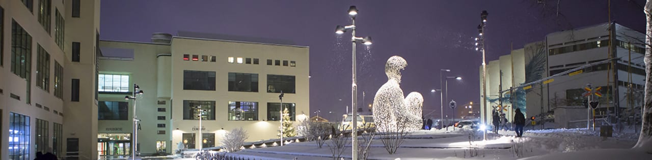 University of Borås Master Library & Information Science,Digital Library & Information Services