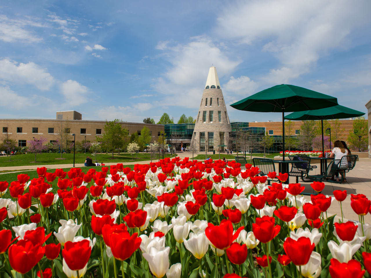 University of Southern Indiana Licenciado en Ciencias en Ingeniería Mecánica