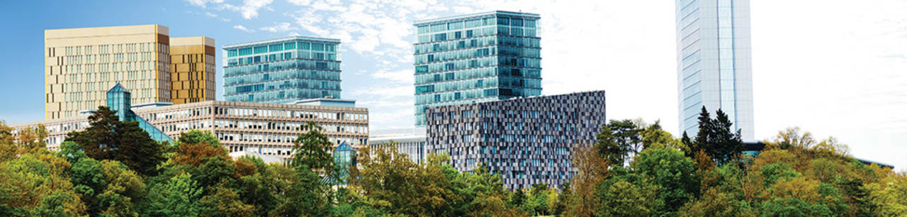 University of Luxembourg, Faculty of Law, Economics and Finance Master în Droit Bancaire și Financier Européen (LL.M.)