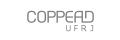 COPPEAD Graduate School of Business