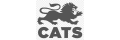 CATS College Boston
