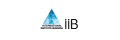 IIB International Institute of Business