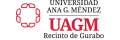 Universidad del Gurabo